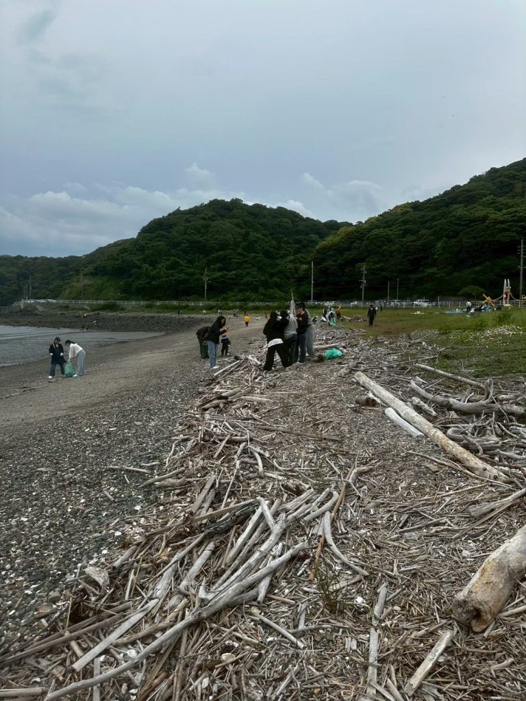 流木の残る海岸でごみを拾うようす